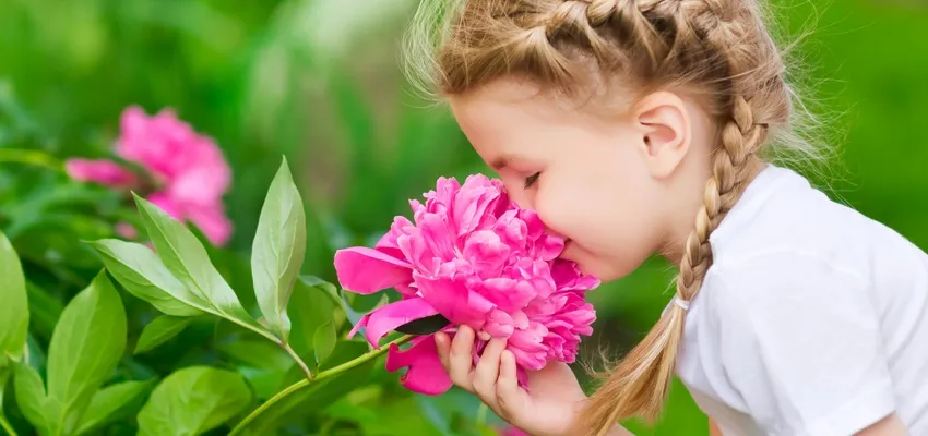 Girl with braids smelling a pink peony flower in a garden