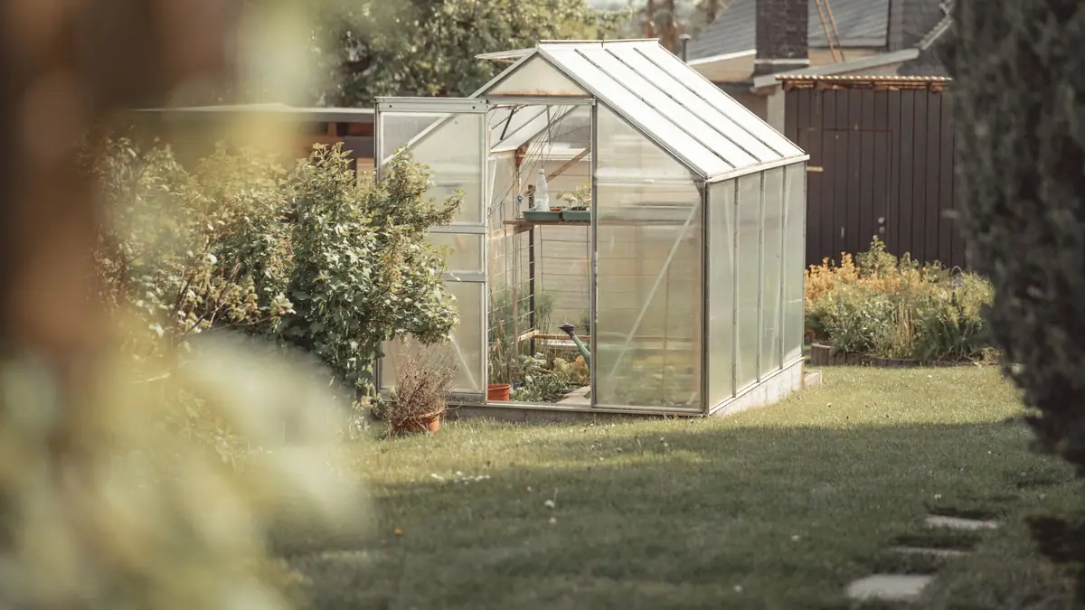 Small glass greenhouse in a backyard lawn beside garden beds