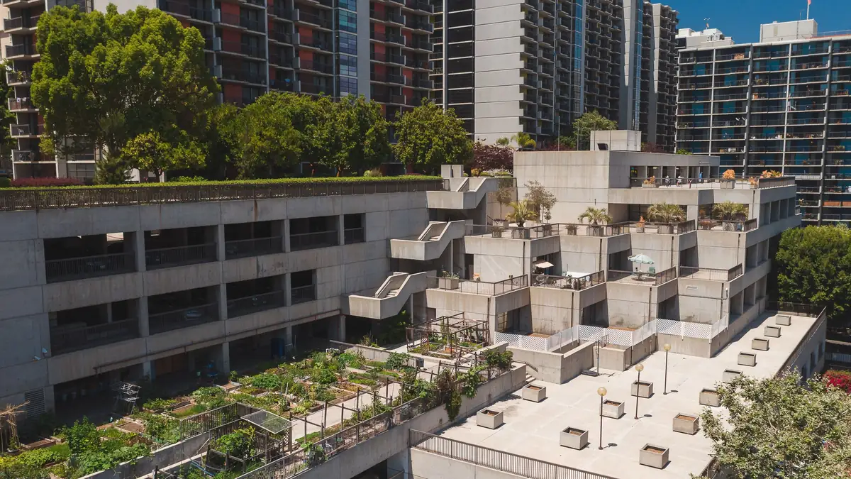Terraced rooftop garden with planting beds on a concrete building among apartment towers