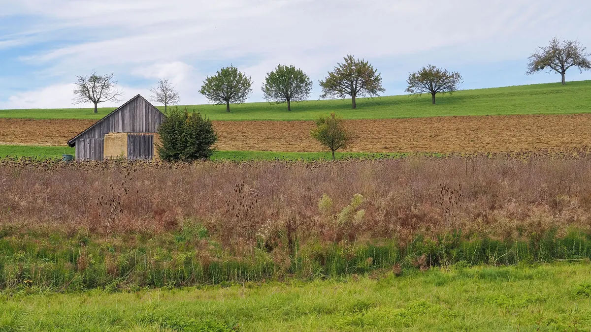 A barn beside plowed fields and a row of trees