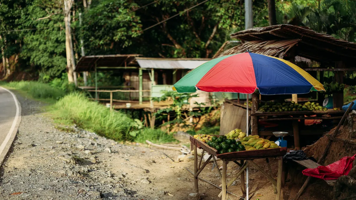 A roadside produce stand with a colorful umbrella