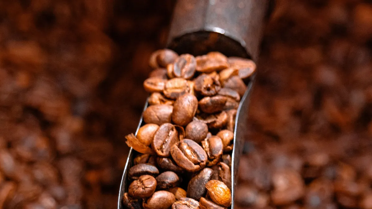Metal scoop of roasted coffee beans in a pile of beans