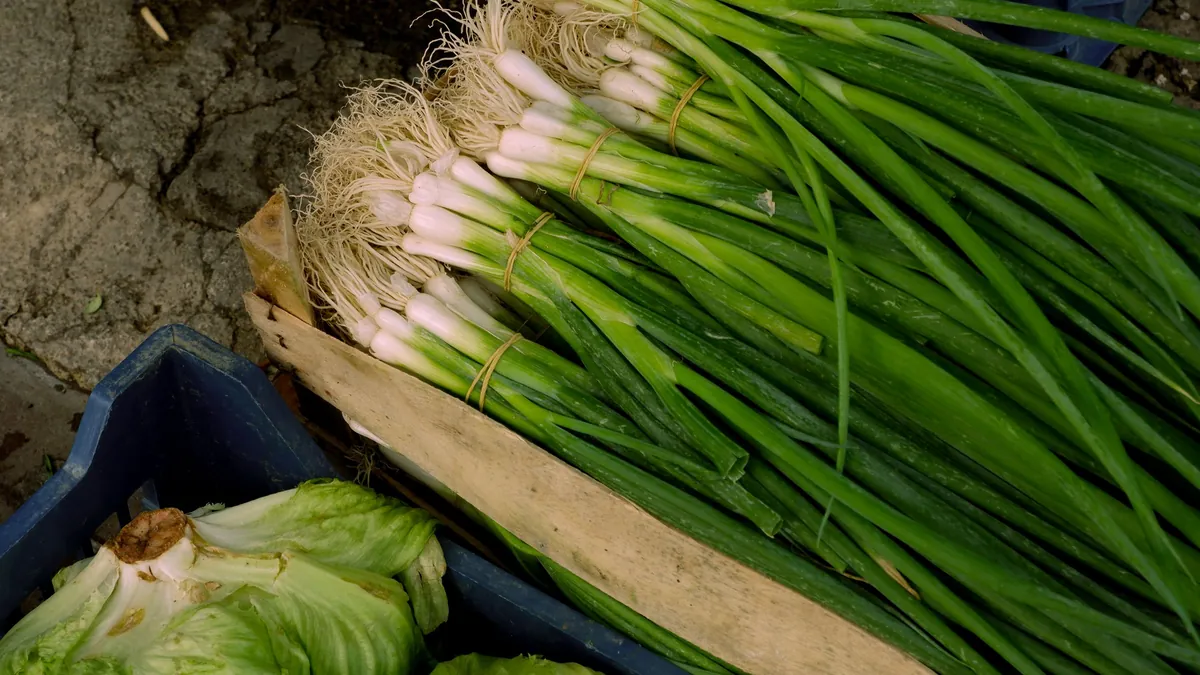 Bunches of green onions and lettuce heads in crates