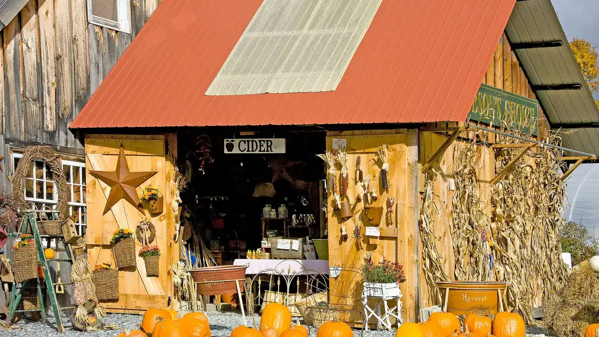 Wooden farm stand with a red metal roof and orange pumpkins on gravel in front