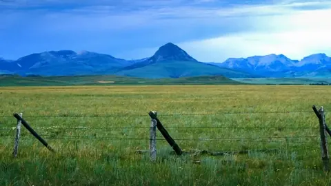 Open farmland with a wire fence