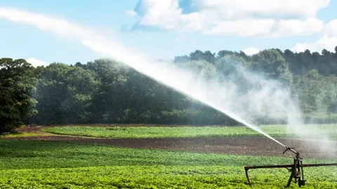 Sprinkler irrigating a field