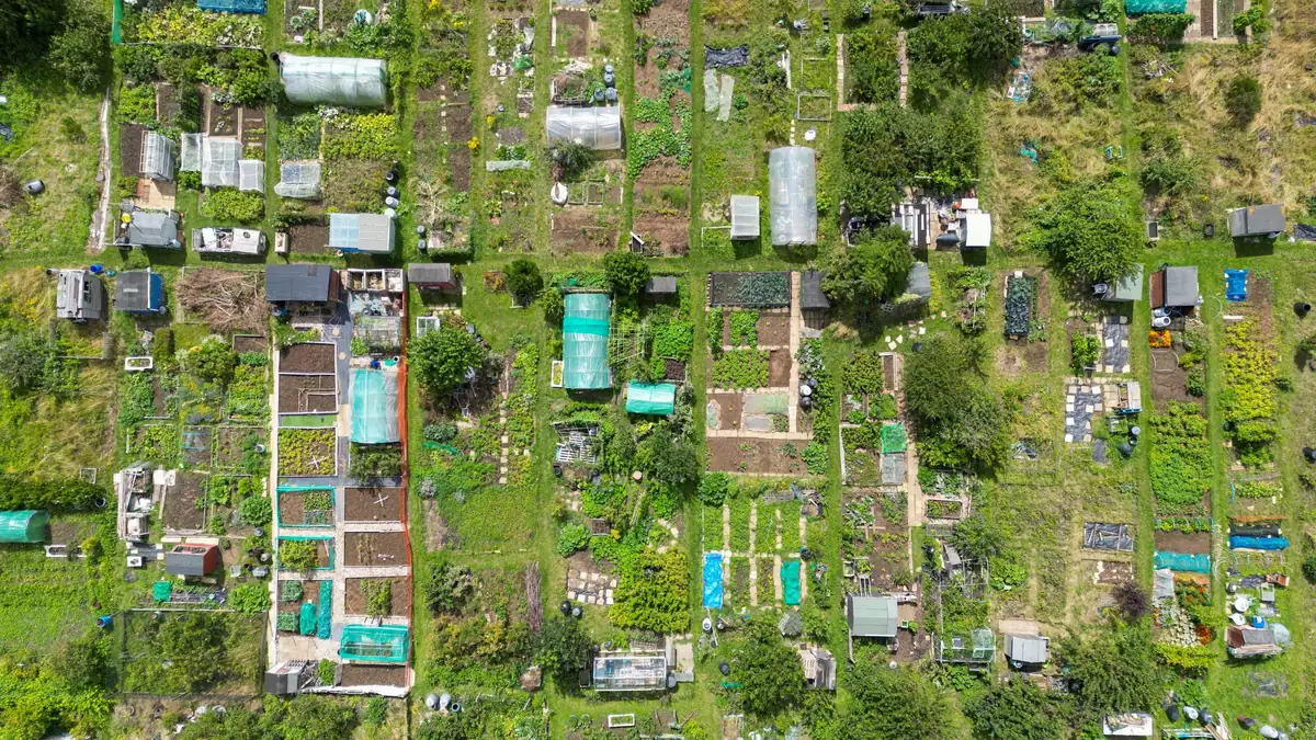 Aerial view of small garden plots with greenhouses and sheds