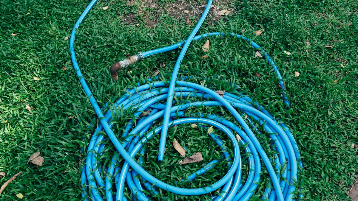 A blue garden hose coiled on grass