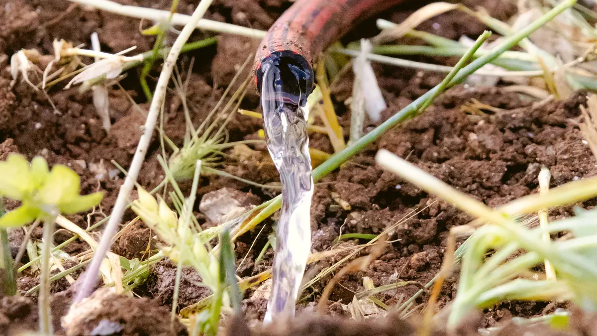 Water flowing from a hose onto garden soil