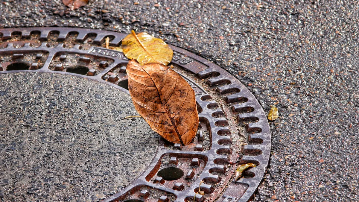 An autumn leaf on a city manhole cover